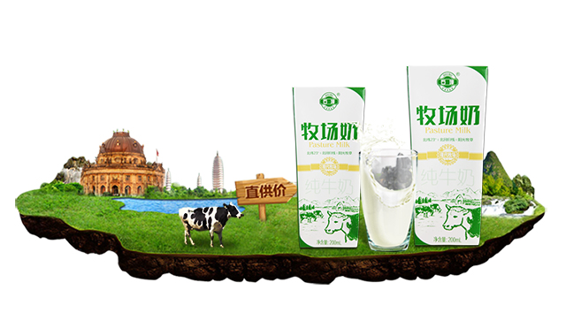 石埠牧场纯牛奶饮品200ml15