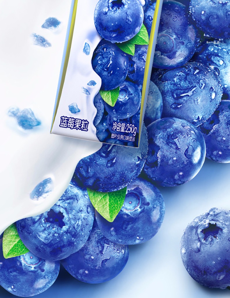 蒙牛(mengniu)風味奶 8月產 臨期 蒙牛真果粒藍莓味250g*12盒/箱