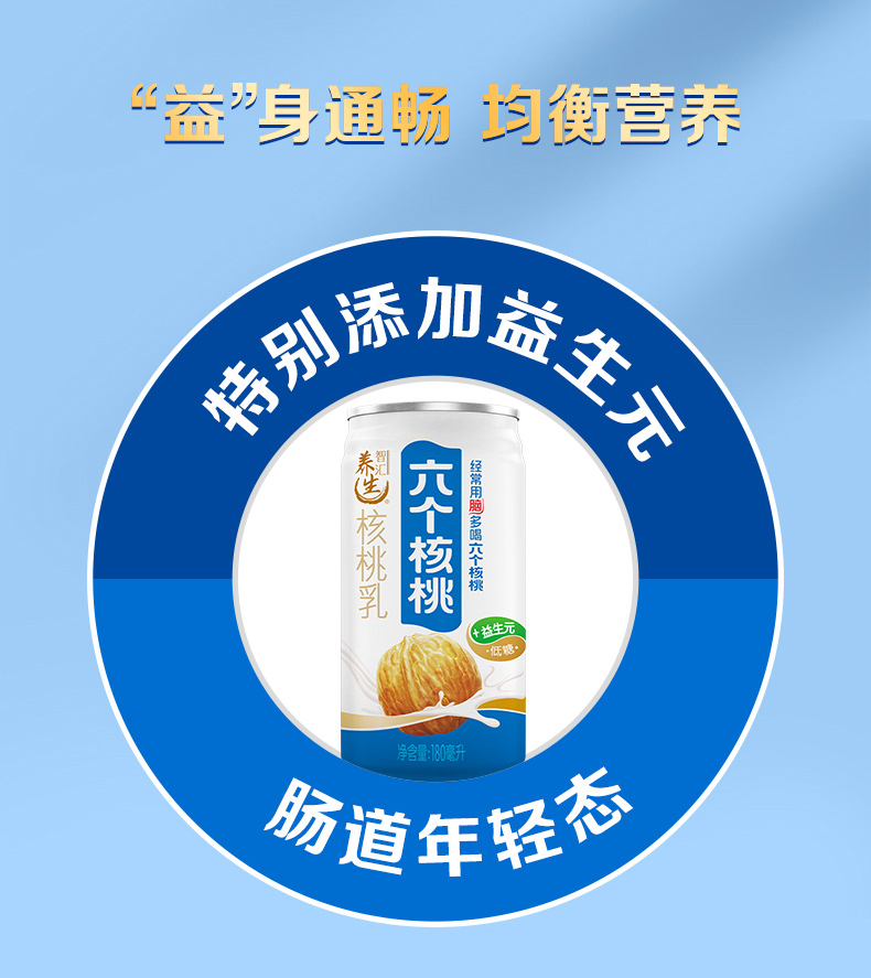 养元六个核桃官方旗舰店智汇养生180ml20罐植物蛋白饮料核桃露饮品