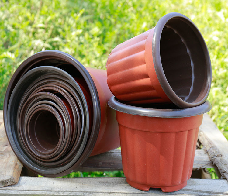 《双色盆一次性花盆育苗穴盘塑料育苗盆大号营养钵培育盆多肉种植盆