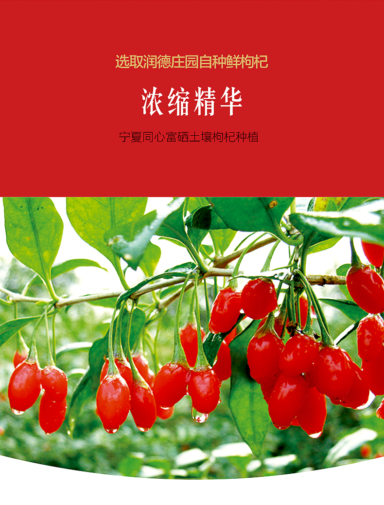 润德庄园宁夏头茬鲜枸杞果原汁原浆液便携支苟特级正宗构纪50ml7