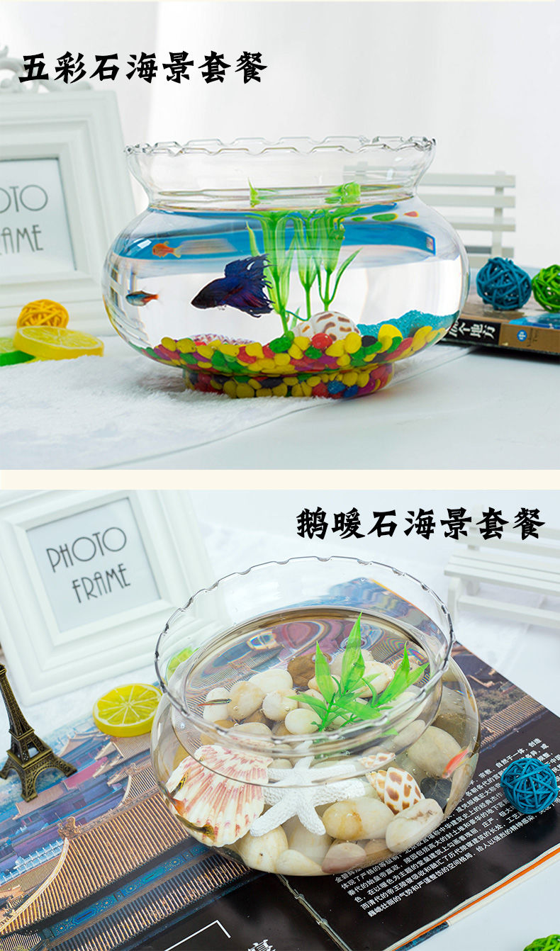 《创意花边小鱼缸桌面造景玻璃迷你鱼缸圆形金鱼缸水培花瓶乌龟缸 16