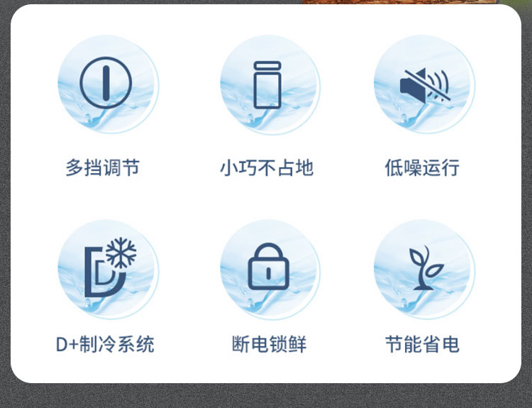 冰熊90升冷藏冷冻转换家用商用节能小冰柜迷你卧式一级能耗小型变温