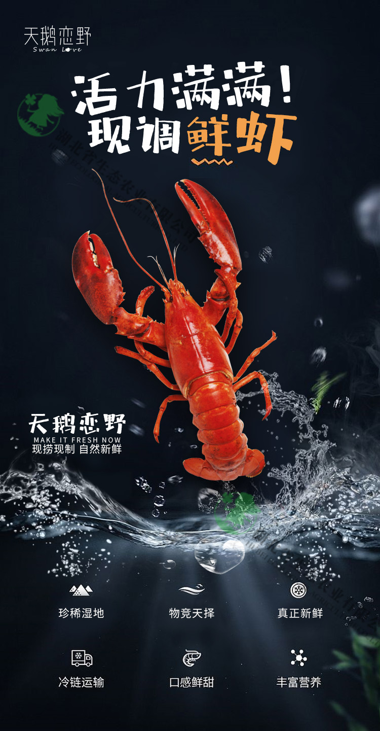 天鹅恋野小龙虾现调虾中虾46钱750g2盒新鲜到家冷链运输