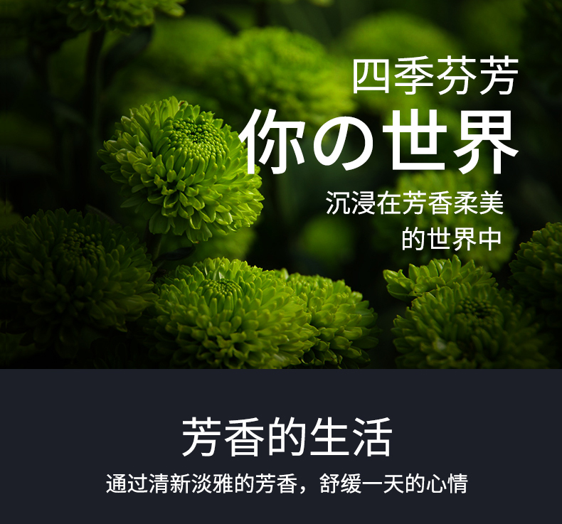 abay空气清新剂固体厕所除臭清香剂喷雾室内卫生间卧室男香薰香膏家用
