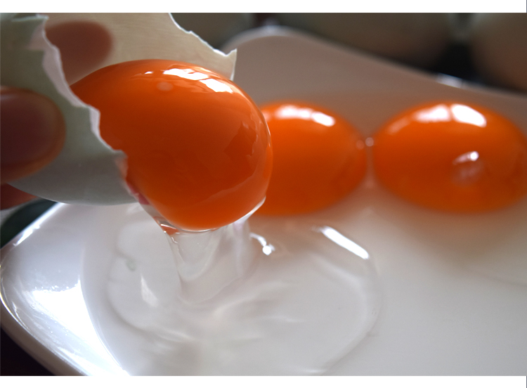 博多客蛋类 广西北海北部湾红树林正宗新鲜生海鸭蛋农家红心生鸭蛋60