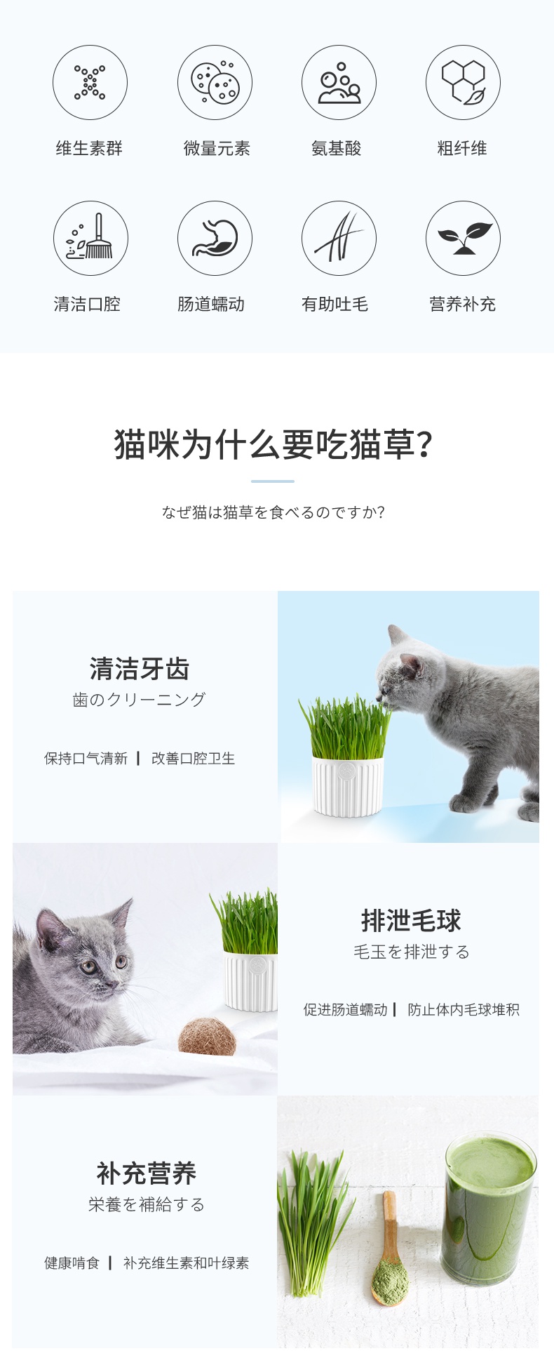 桃花会猫零食 苏宁优选 桃花会宠物食品猫零食猫猫薄荷猫咪零食化毛种子水培盆栽种籽猫咪用品薄荷味6个月以上 价格图片品牌报价 苏宁易购寻梦宠物专营店