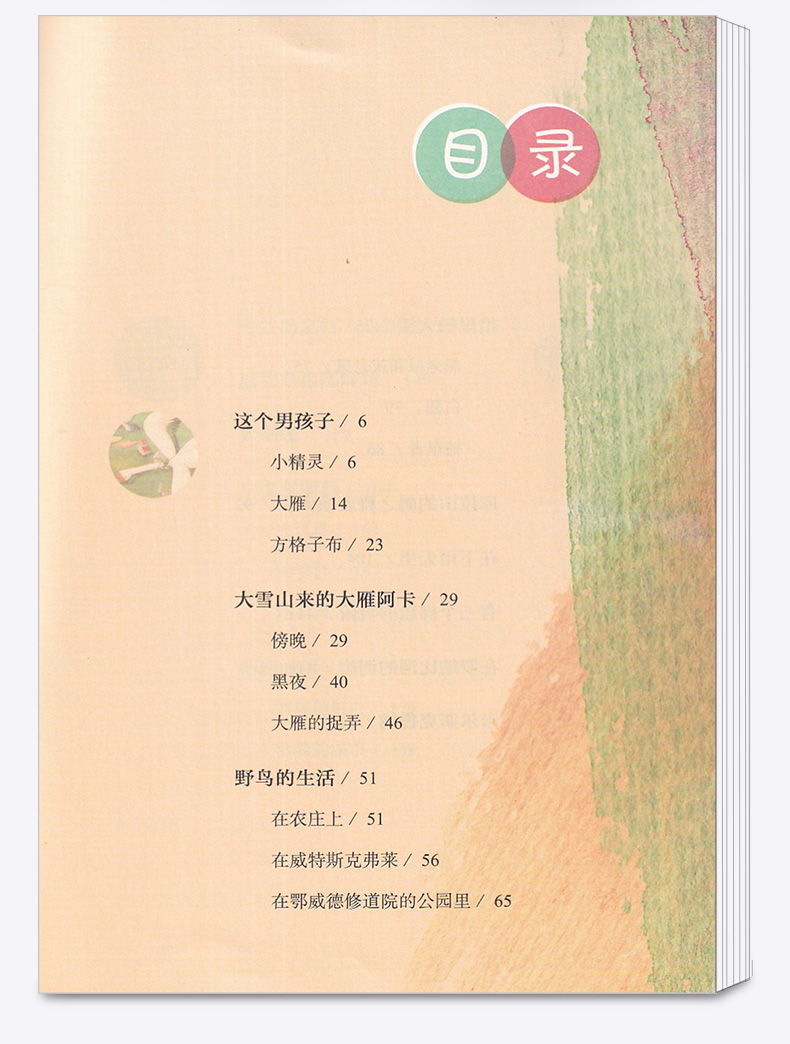 6册人民教育出版社快乐读书吧六年级下册全套鲁滨逊漂流记爱丽丝漫游