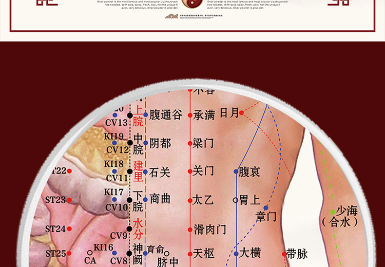 艾灸穴位图人体经络穴位图人体穴位图大挂图解全身中医家用针灸男油画