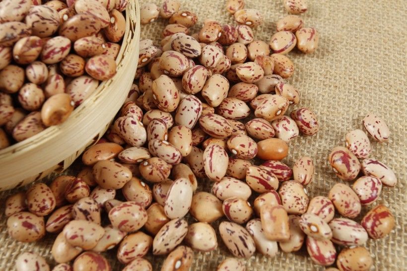 奶花豆新货贵州遵义花生豆雀蛋豆农家新豆花饭豆奶花芸豆五谷杂粮奶花