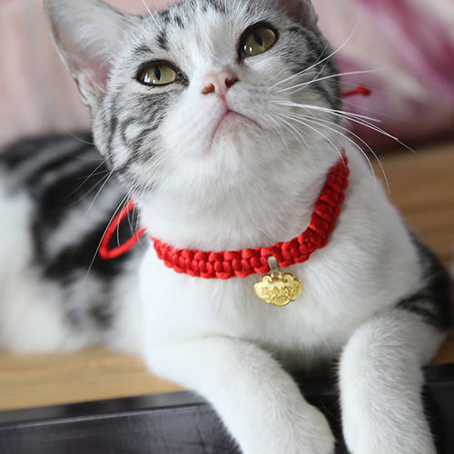 原创设计猫咪长命锁可爱猫项圈奶猫项圈宠物饰品手工编织项圈 红绳