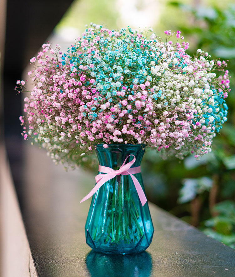 多色满天星干花花束真花鲜花瓶勿忘我批发永生花卉客厅装饰品摆件满天