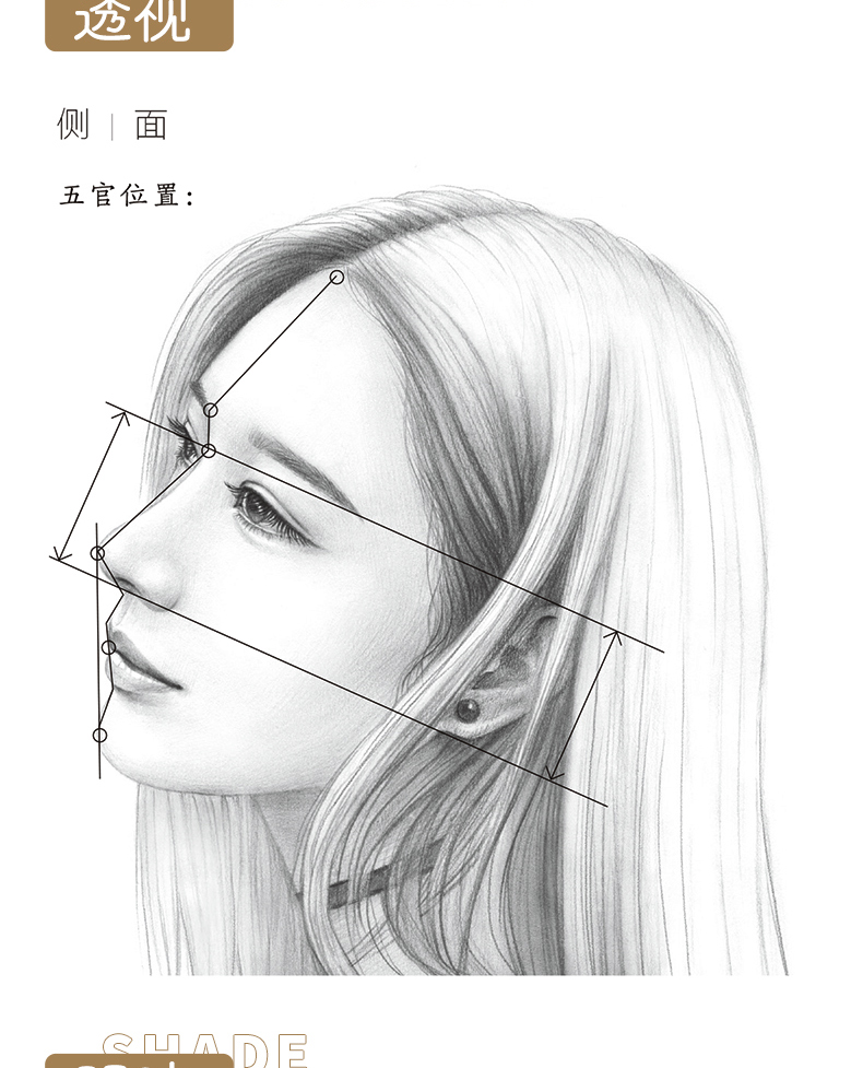 鹏辰正版素描书入门自学零基础美人绘铅笔人物画入门沈月人物画抖音网