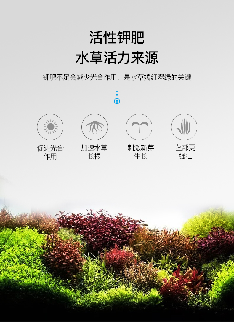 茉写宠物日用yee水营养液综合液肥鱼缸水族箱肥料抑藻防烂根叶不伤鱼促长 价格图片品牌报价 苏宁易购玖信宠物用品专营店