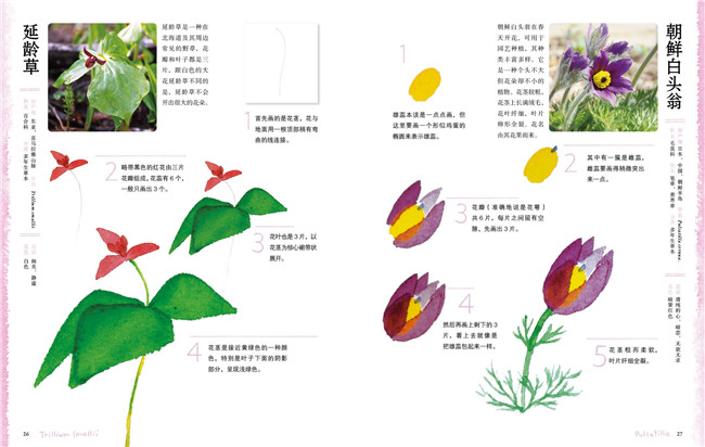 入门级水彩小插画美食 植物小花水彩画教程书籍水彩插画手绘教程上色技巧水彩画教程教材书籍水彩f34ets 佚名著 摘要书评在线阅读 苏宁易购图书 入门级水彩小插画美食 植物小花水彩画教程书籍水彩插画手绘教程上色技巧水彩画教程教材书籍水彩f34ets 佚名著 摘要书评在线阅读 苏宁易购图书
