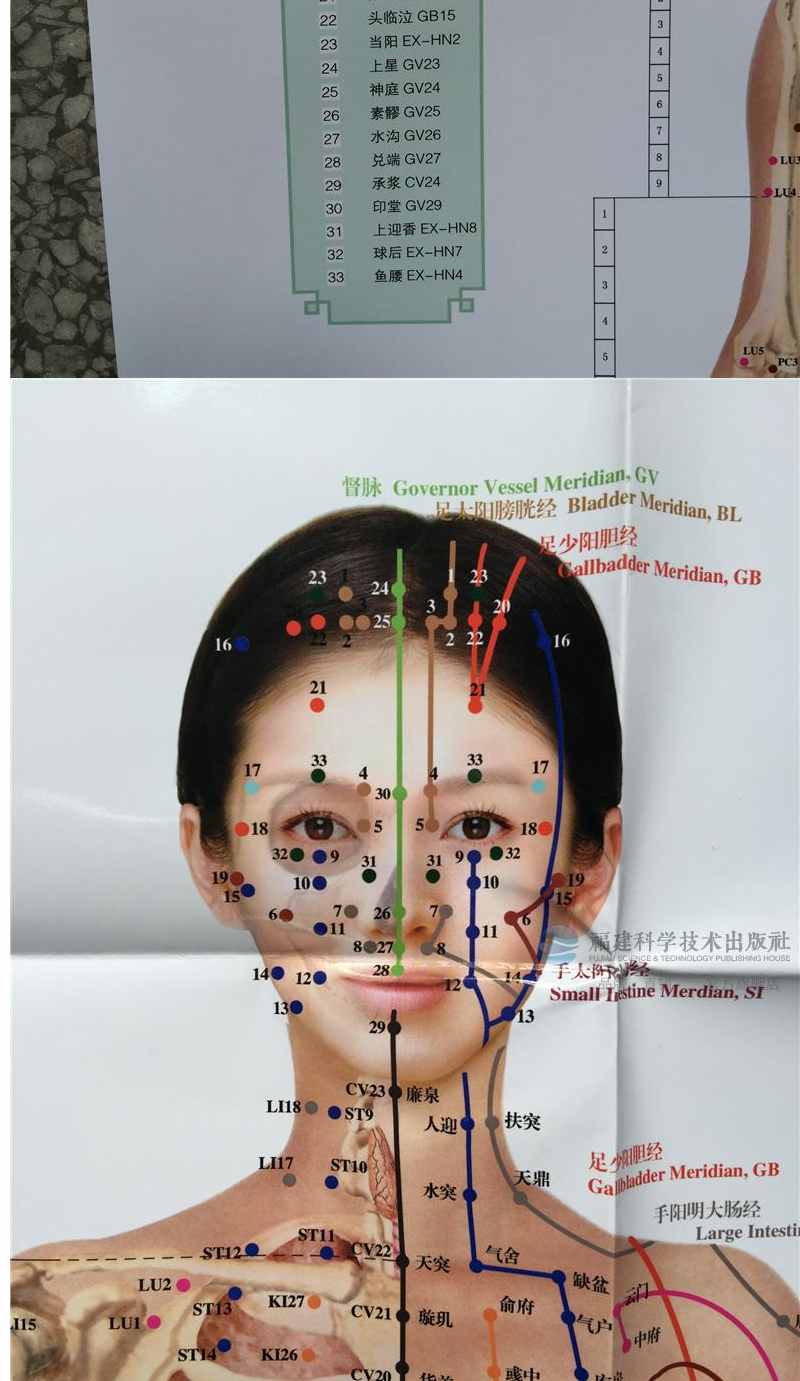 国家标准女子针灸挂图图片