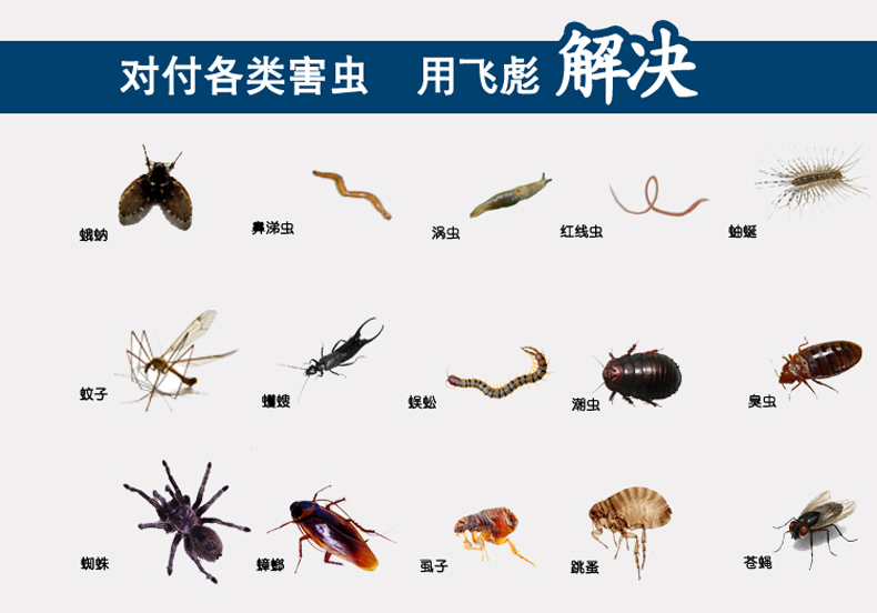 家恒宝 杀虫剂下水道卫生间厕所灭除杀马陆蛾蚋潮虫蜈蚣小飞虫家用
