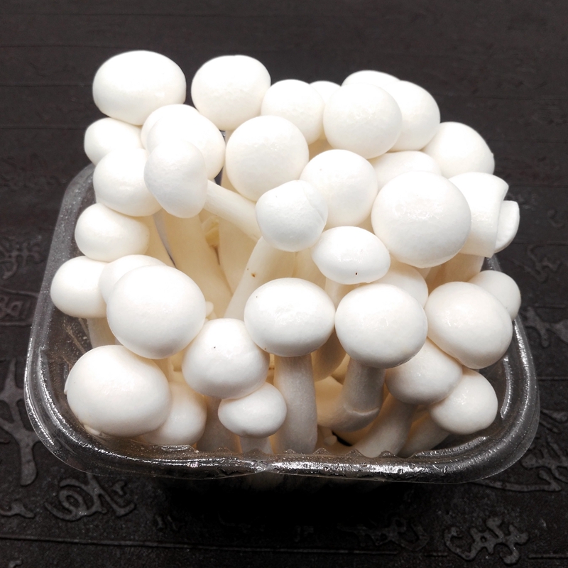 白玉菇150g盒新鲜蔬菜菌类时鲜菌类新鲜蘑菇日天生鲜可开发票