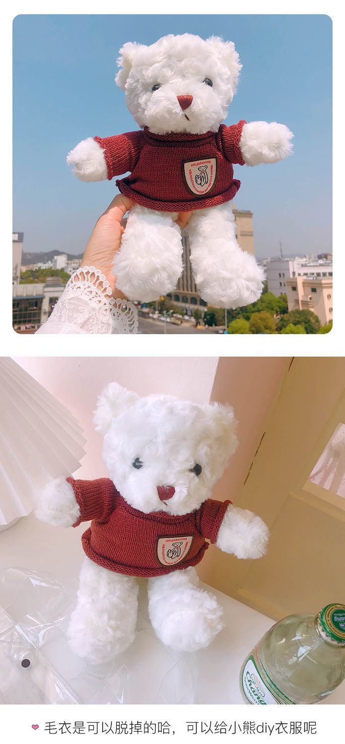 封后韩国ins网红毛绒小熊玩偶公仔可爱超萌卷毛泰迪熊女朋友生日礼物
