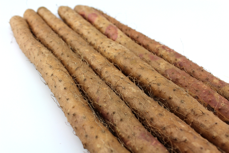 河南焦作淮山药铁棍山药5斤怀铁杆垆土山药片粉新鲜蔬菜温县