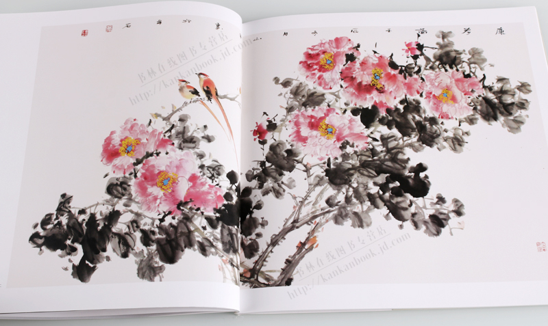 鹏辰正版毛健全 沈山风 江水沐 唯美写意花鸟画精选全套3册 名家绘画