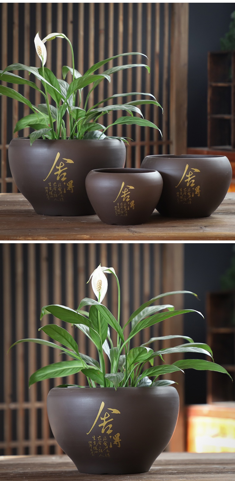 紫砂兰花盆特大口径古达君子兰盆陶瓷兰盆专用盆带托盘中号两个喜上