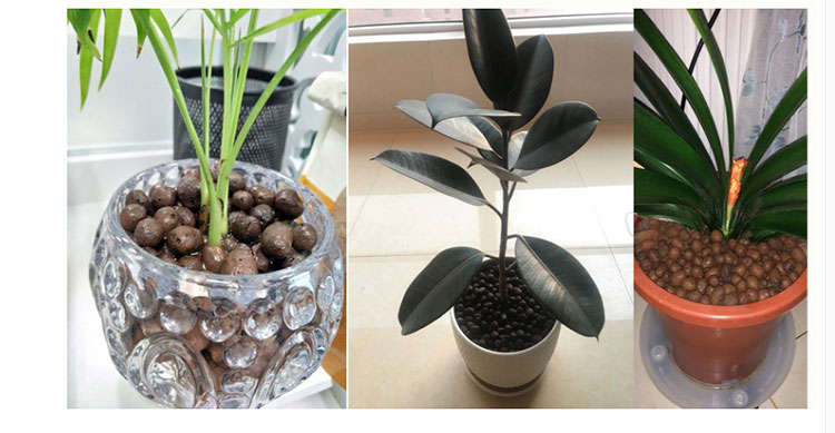 营养土陶粒蛭石种花营养土营养液肥料多肉植物花用垫底铺面回填等园艺