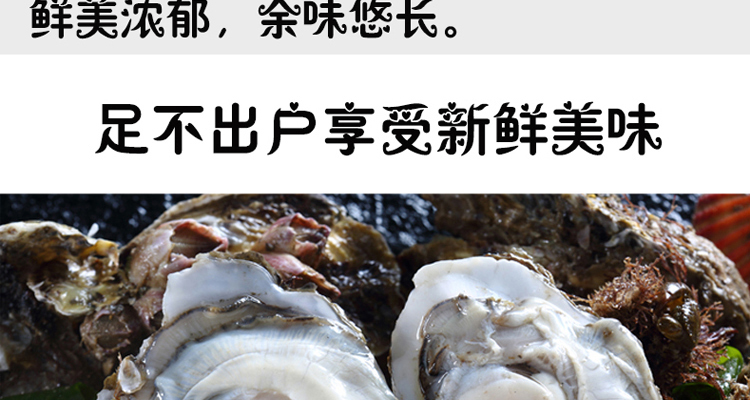 冷冻半壳乳山生蚝牡蛎300g6粒原汁袋装火锅烧烤食材海鲜水产