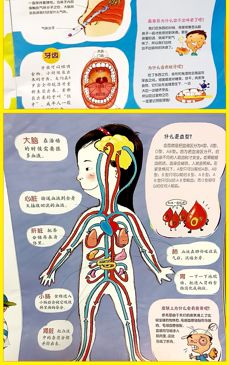 我可爱的身体06岁儿童百科全书绘本图画书幼儿园启蒙早教健康知识课外