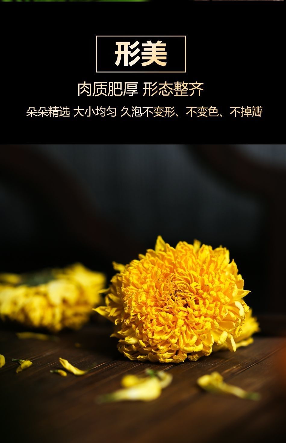 《怀棂菊菊花茶四季秋季安徽省黄山特级野生灵怀菊茶灵 1罐 【 怀棂菊