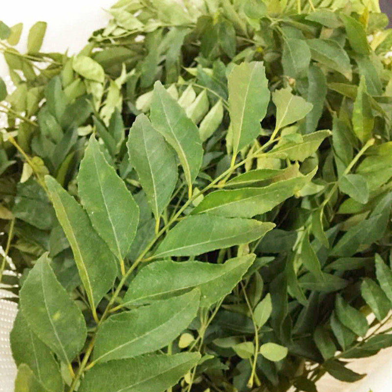 超级新品 【上海发】咖喱叶100g 泰国香梨 新鲜蔬菜香料