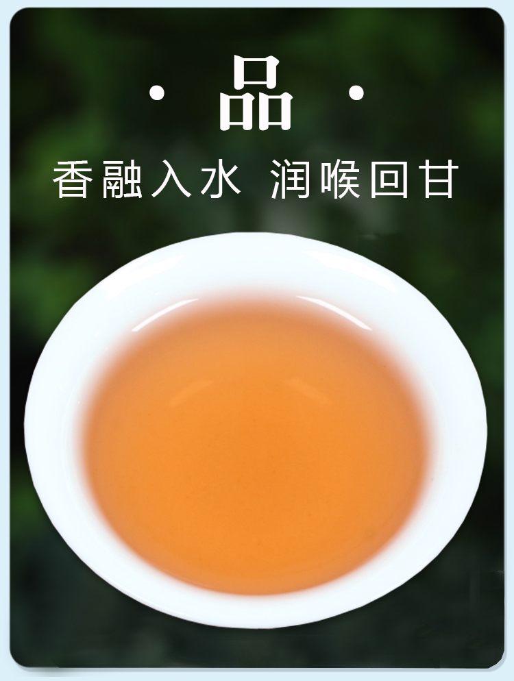 裕园茶武夷岩茶大红袍茶叶乌龙茶罐装125g2盒