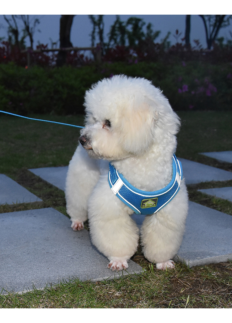 背心式狗狗牵引绳泰迪小型犬比熊博美胸背带小狗幼犬遛狗绳狗链子夜间