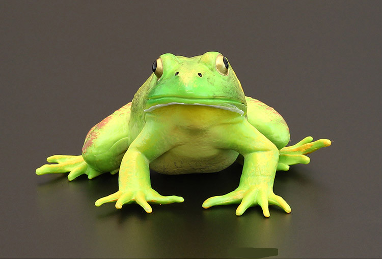 美洲牛蛙儿童野生动物模型实心大号儿童青蛙菜蛙仿真动物玩具男孩3-4