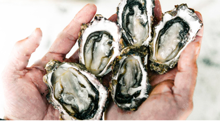 eatwithlove新西兰进口鲜活生蚝moana莫娜12只木箱送刀刺身非吉拉多