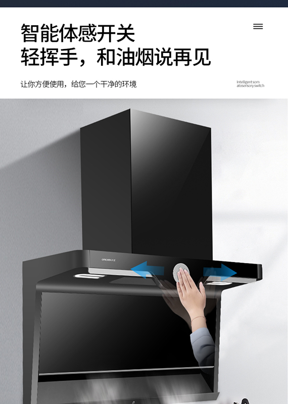 大臣油烟机cxw268w905a