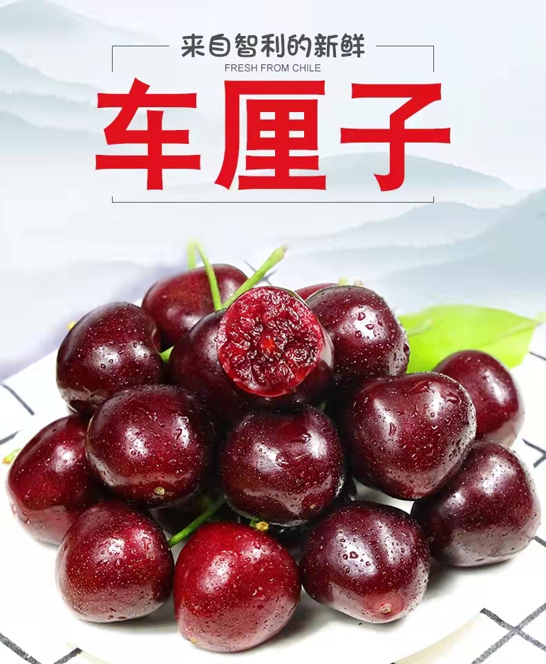五个农民智利进口santina桑提娜jjj级车厘子500g红宝石樱桃时令新鲜