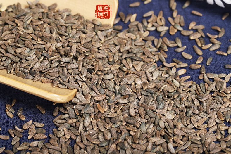 大力子500克牛蒡子牛子恶实鼠粘子