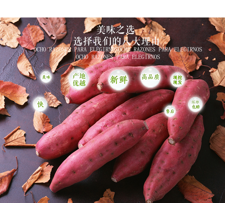 沙地红薯蜜薯5斤装单果100200g新鲜美味香甜粉糯产地直发