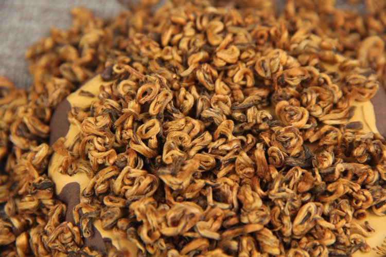 黄金螺滇红茶云南凤庆红茶红茶单芽茶叶500g