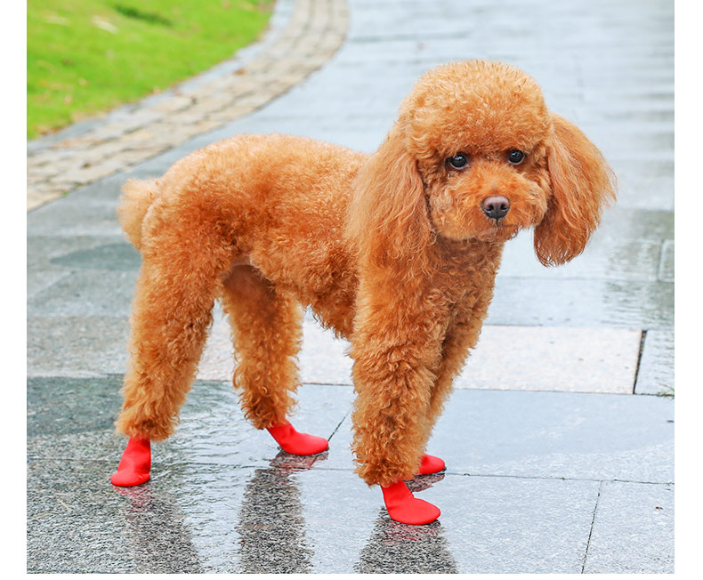 宠物鞋子小型犬泰迪比熊博美柯基狗狗鞋