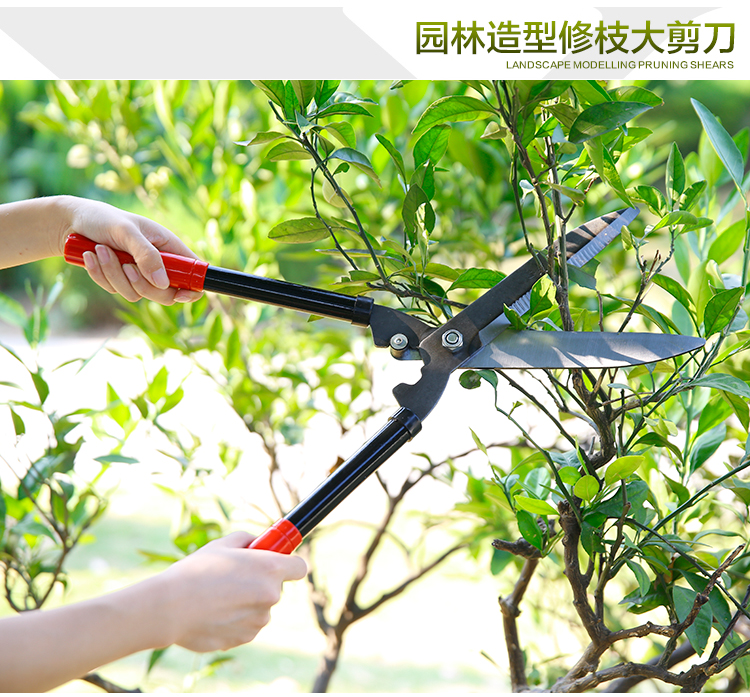 剪草大剪刀除草绿篱草坪剪园林修枝剪绿化树枝工具伸缩篱笆剪jingping