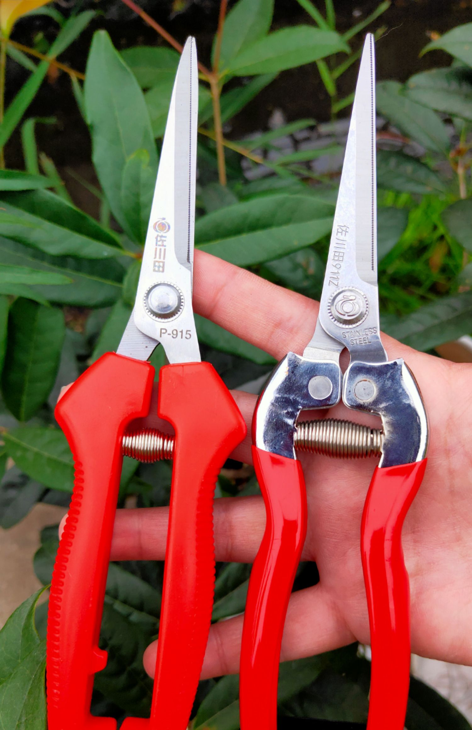 jing ping采果剪葡萄稀果剪疏花剪修花枝剪柑橘桔子蔬果采摘摘果剪刀