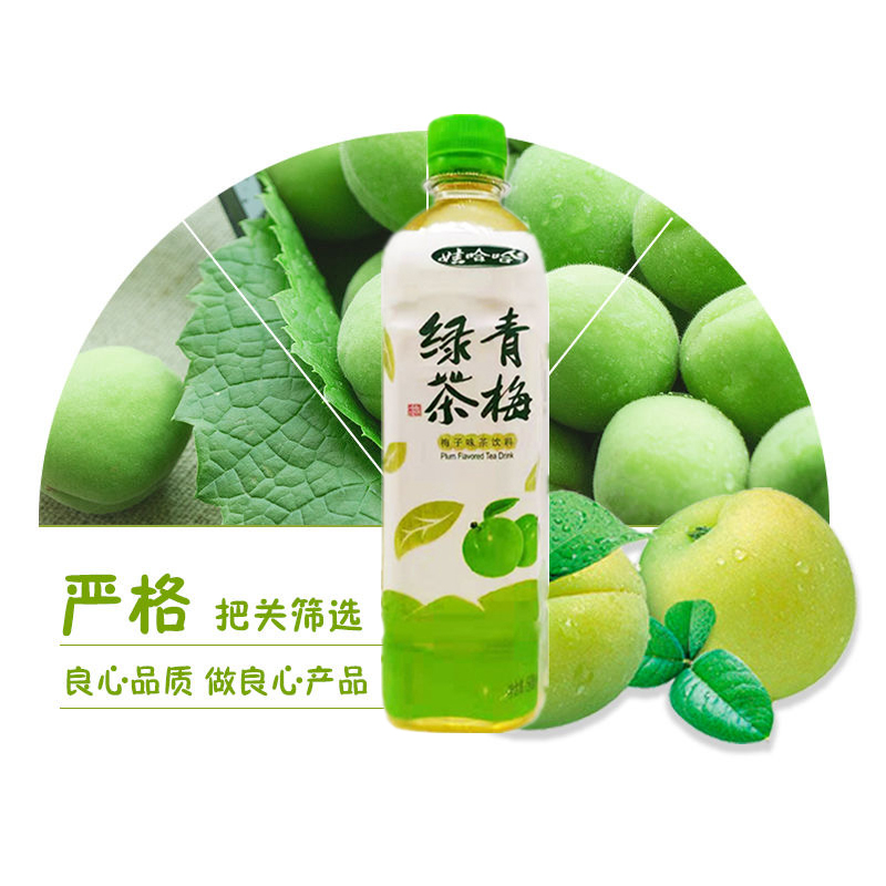 娃哈哈青梅绿茶500ml15瓶整箱梅子味果味茶饮料饮品