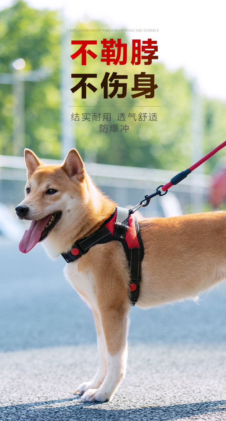 狗狗胸背带宠物牵引绳狗链子中大型犬狗绳金毛项圈防爆冲背带用品红色