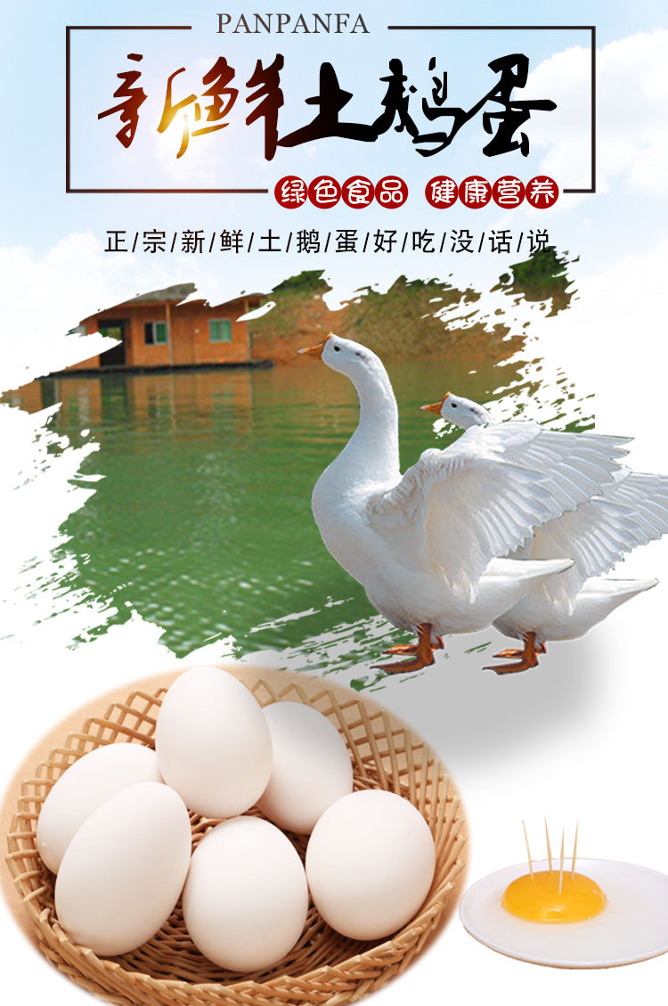 农家散养新鲜鹅蛋农家散养6枚120-140g大鹅蛋孕妇去胎毒纯生态现捡土
