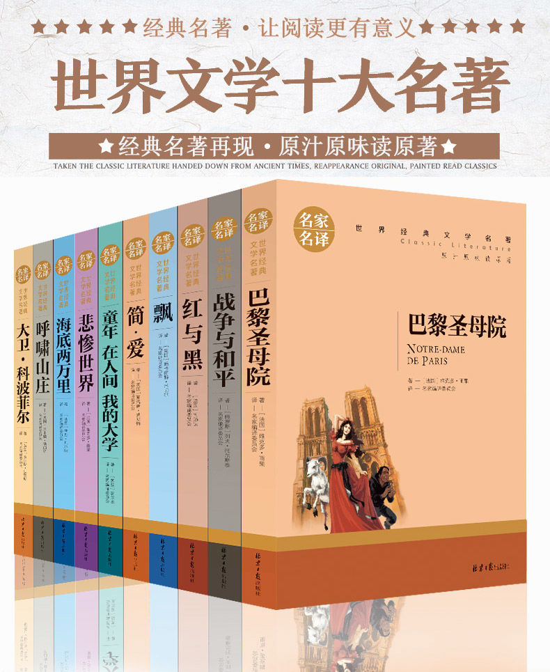 世界十大名著书籍简爱红与黑飘悲惨世界巴黎圣母院小说课外阅读 大卫