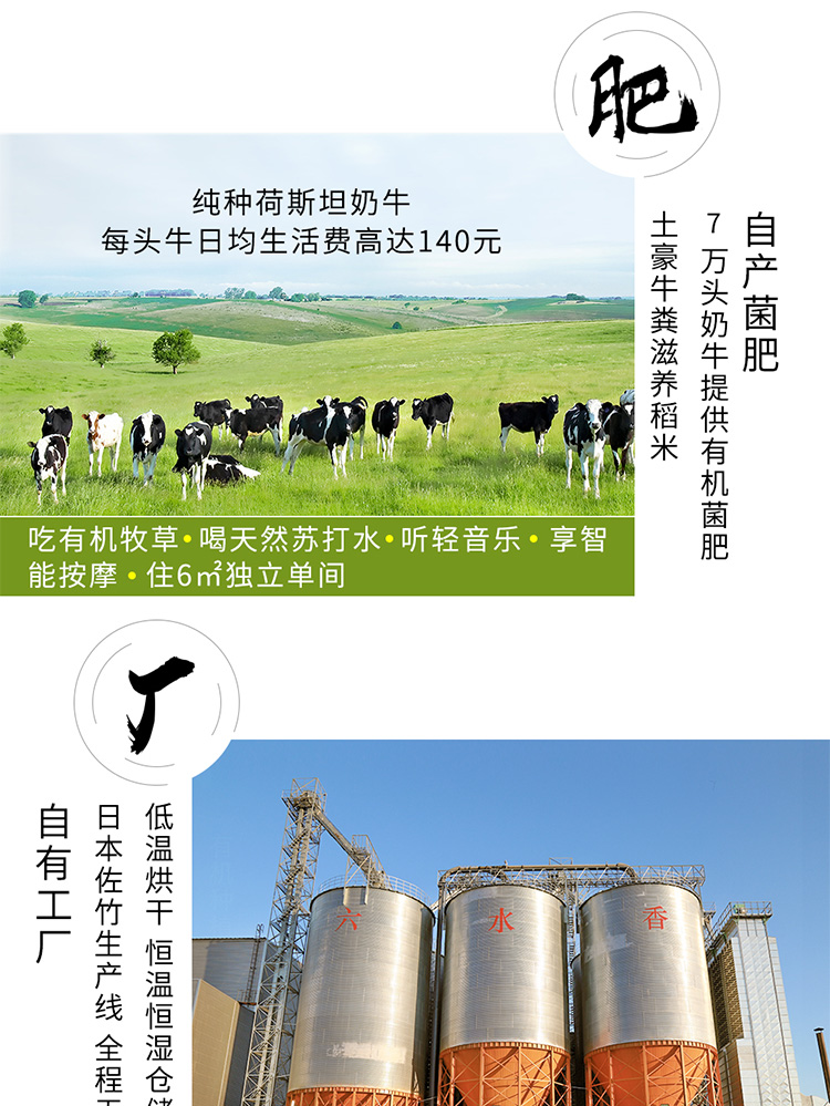 六水香泰来大米东北大米粳米长粒香米新米鲜米5kg