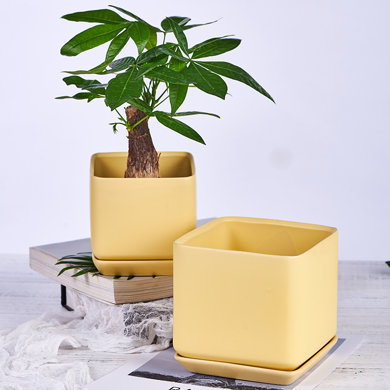 方白色亚光小北欧简约陶瓷花盆ins马卡龙颜色方盆绿萝多肉吊兰创意