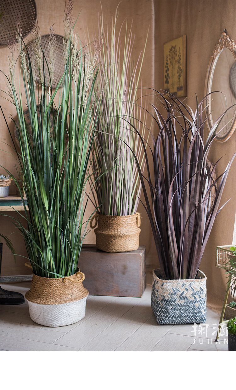 洋葱盆景大型仿真植物绿植仿真树装饰摆件陈列布景道具 f臾金子葱草